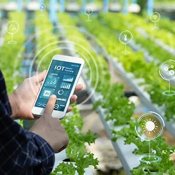 Internet of Things